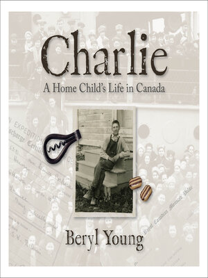 cover image of The Old Brown Suitcase